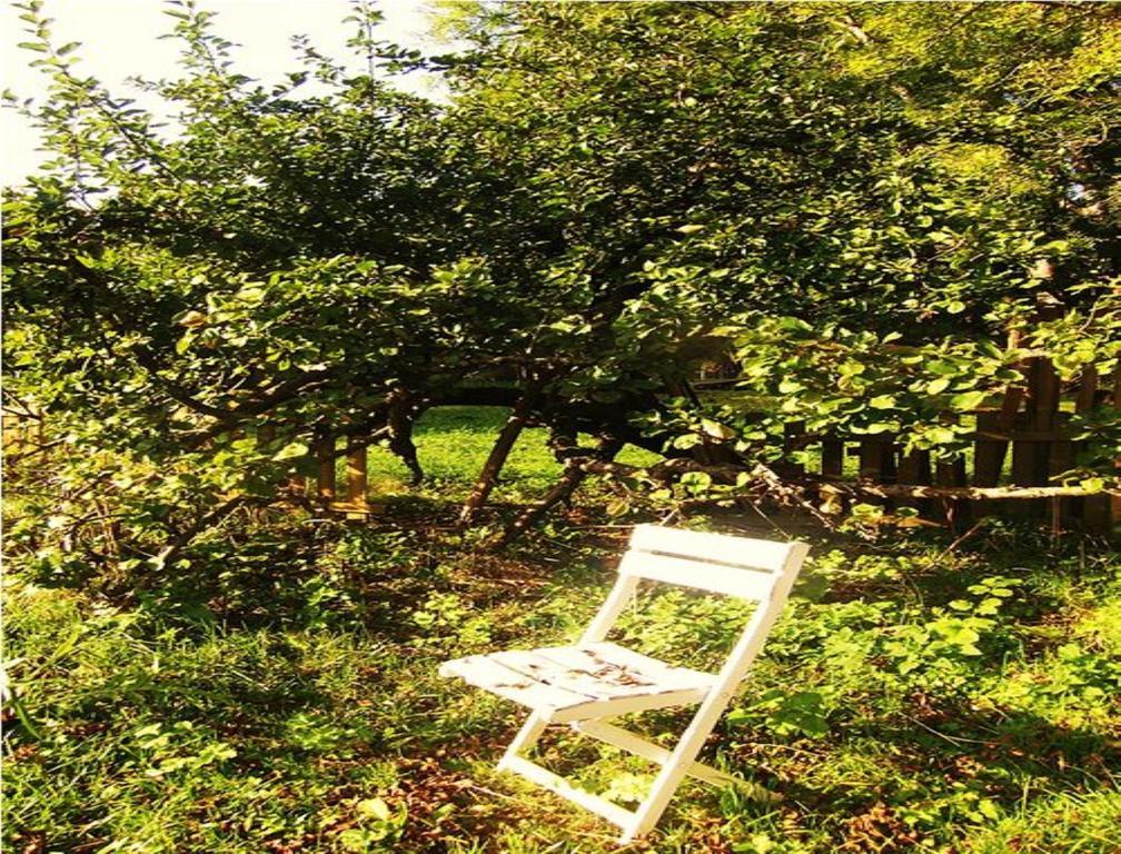 Le Moulin Fleuri Du Petit Appeville מראה חיצוני תמונה